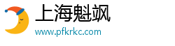 上海魁飒